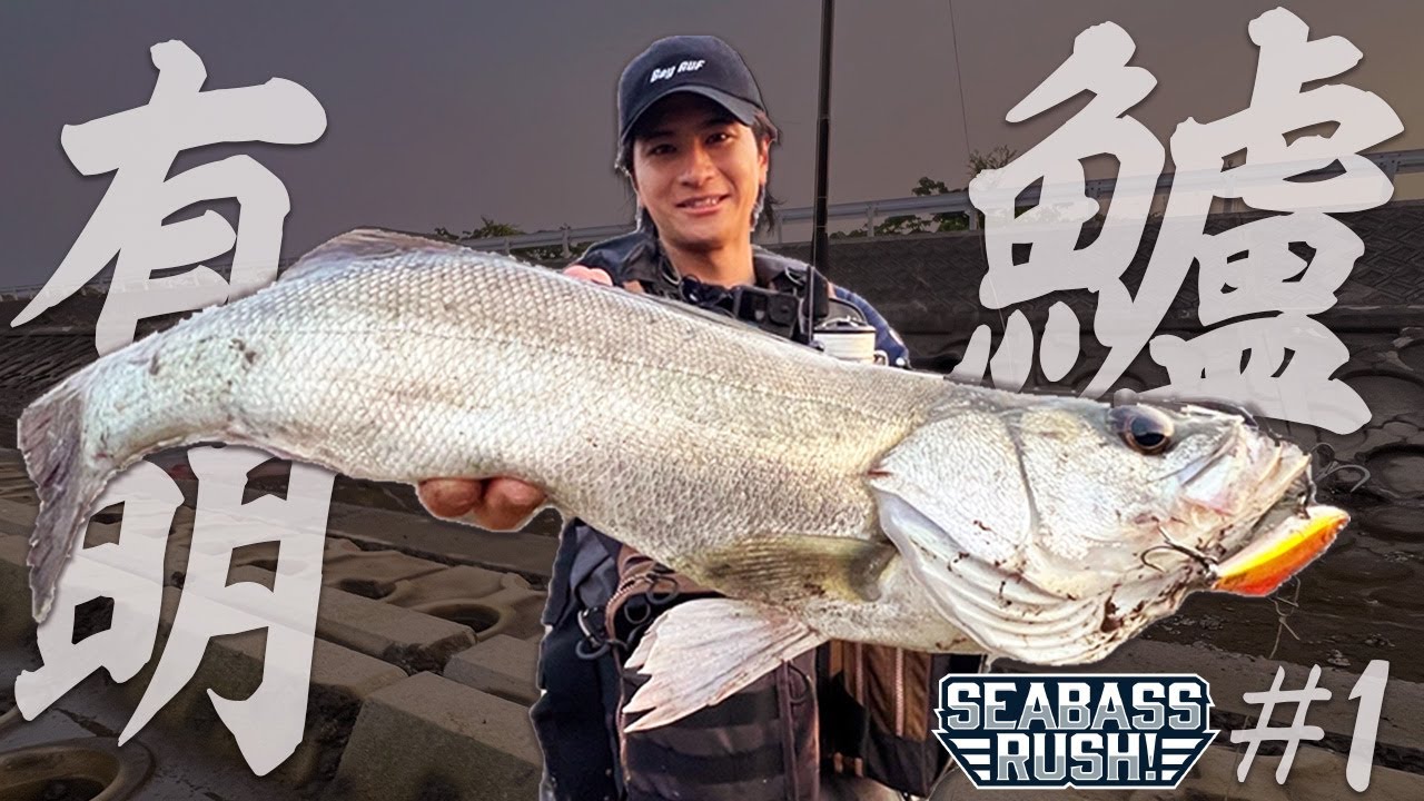 【SEABASS RUSH!】初場所攻略 in 熊本 #1