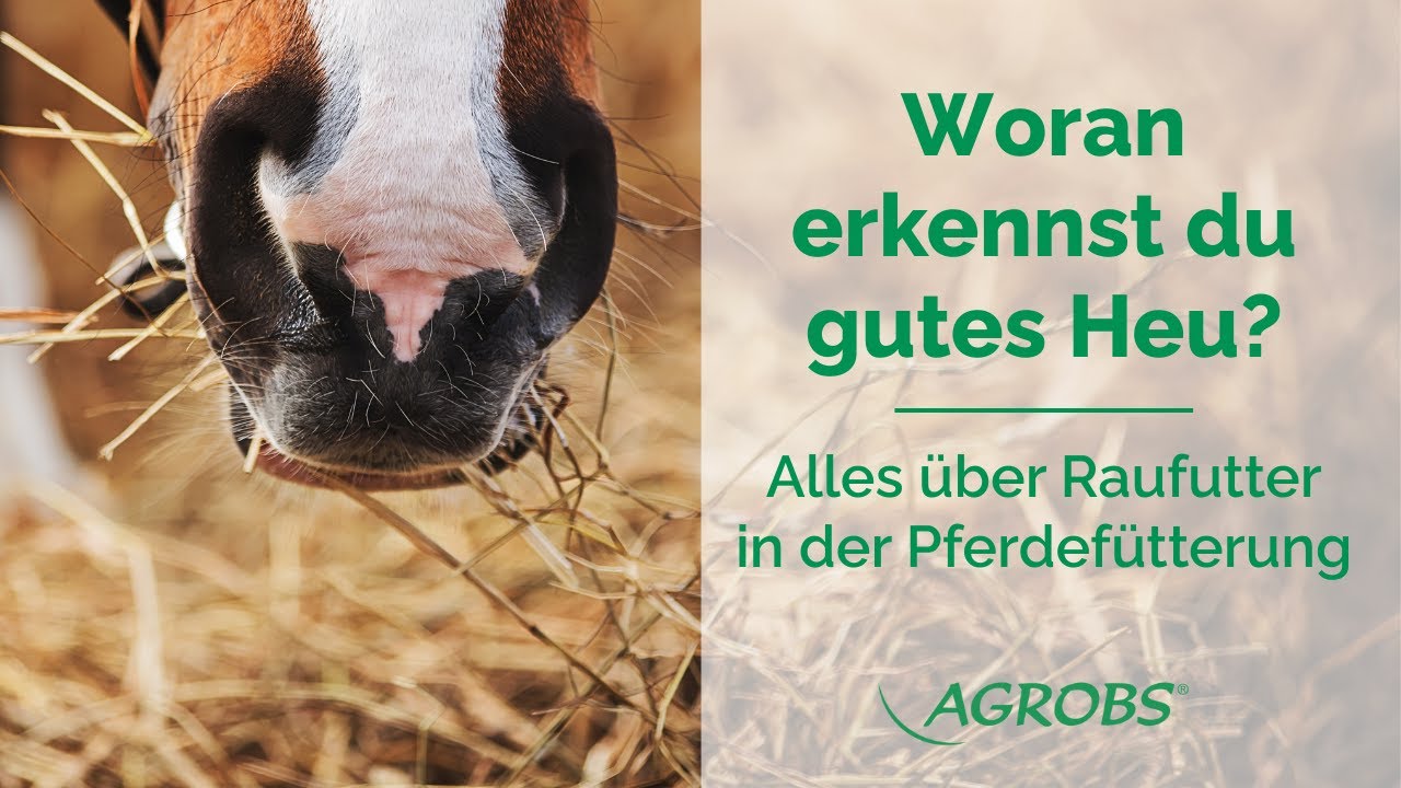Die richtige Heufütterung - Fütterungstipps von AGROBS