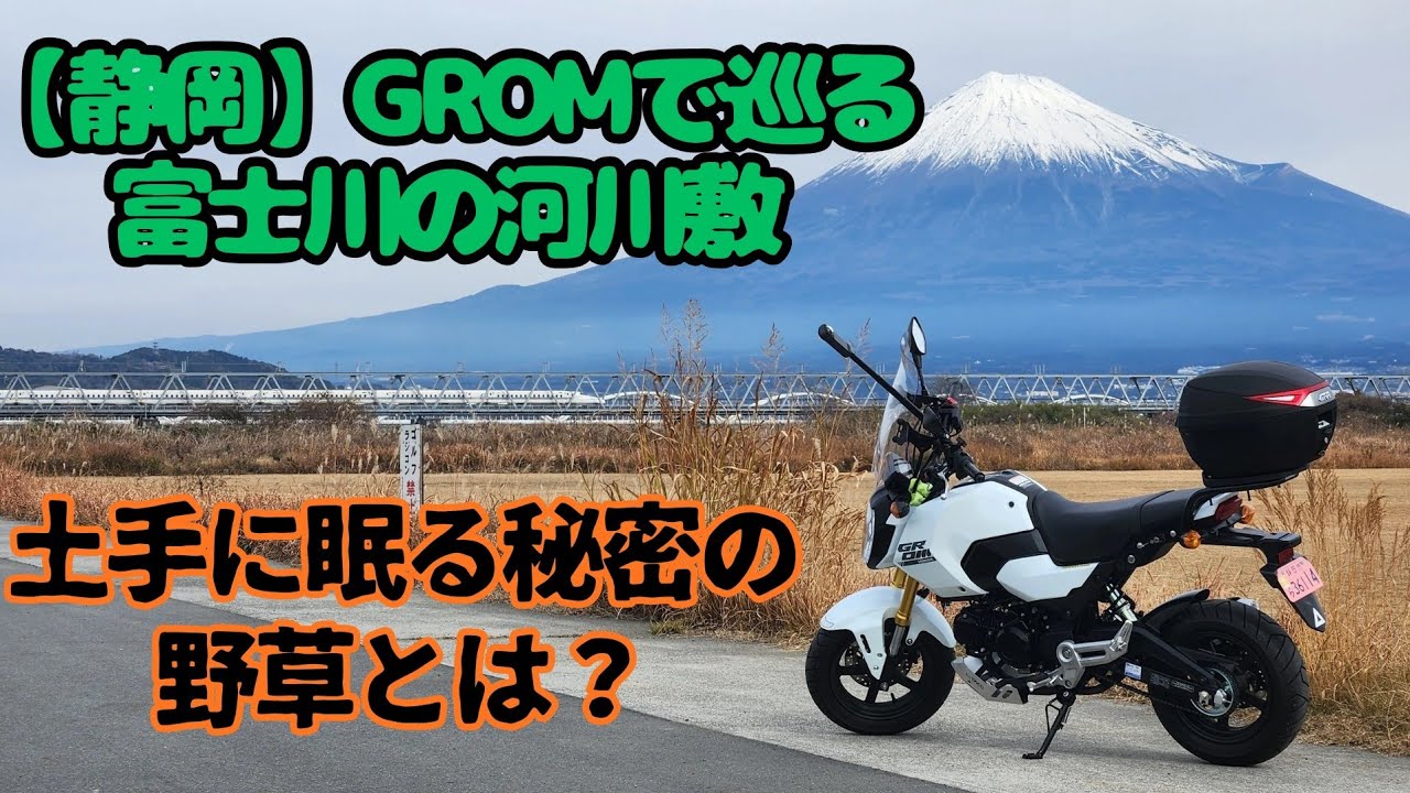 【静岡】GROMで巡る富士川の河川敷　土手に眠る秘密の野草とは？