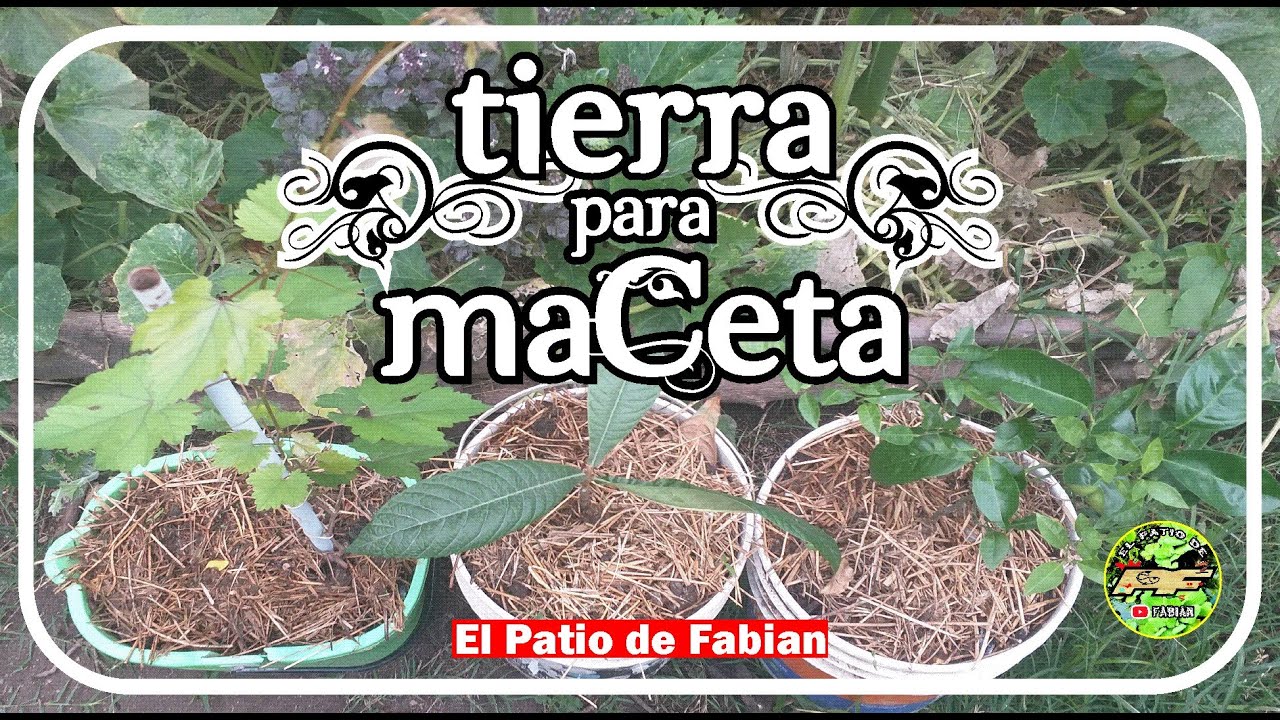 COMO HACER SUSTRATO PARA MACETAS Maceta Compost