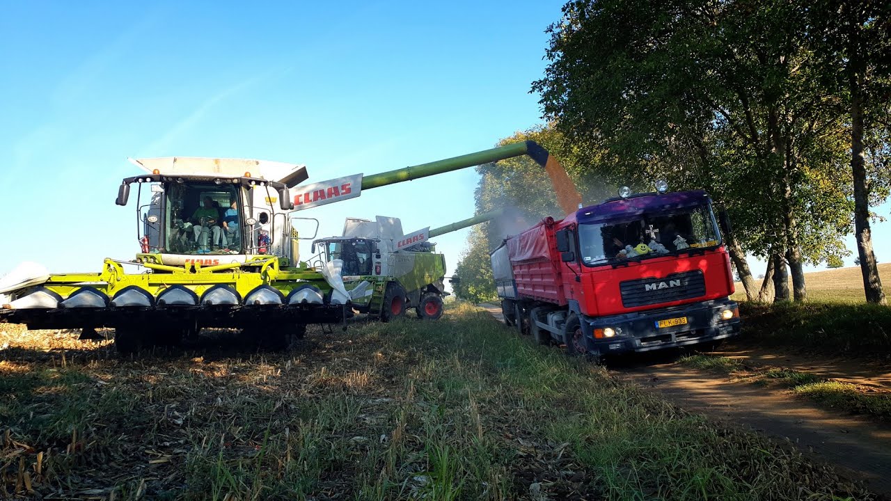 Csele-Delta Kft. 2x Claas Lexion 760TT, 650 Corn Harvest/Kukorica aratás 2021
