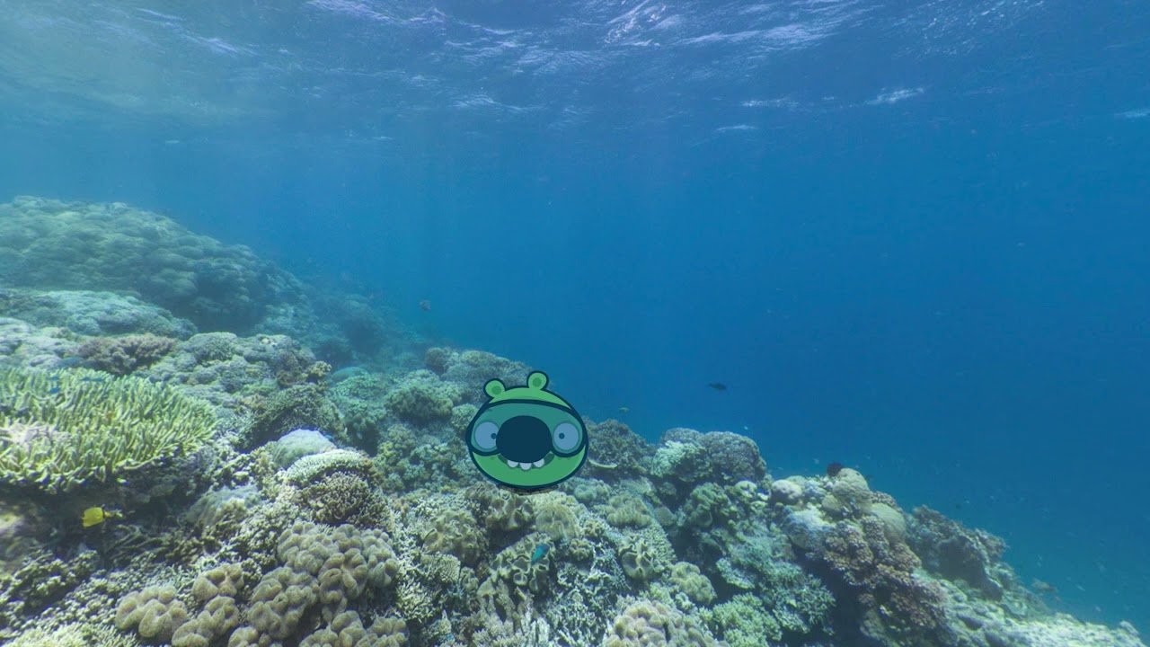 Bad Piggies But It's Played Underwater