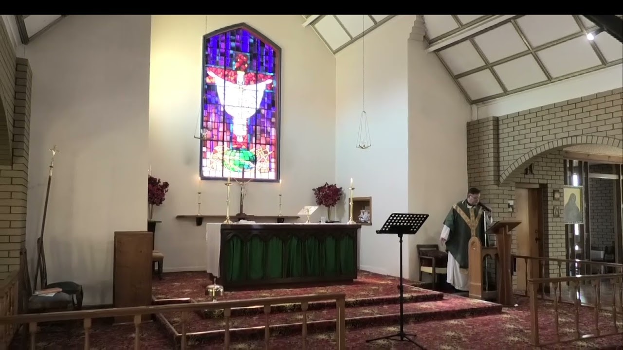 2026 5th Ordinary Sunday, February 8th