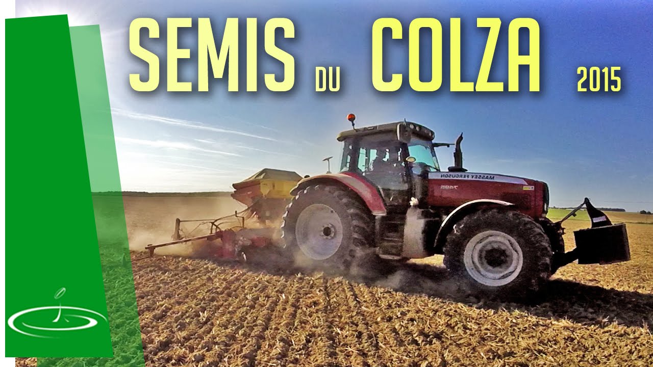 Semis du colza, comment je procède pour semer - 2015
