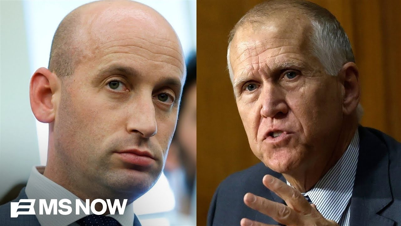 'Amateur hour is over': Republican senator rails against Stephen Miller over Greeland