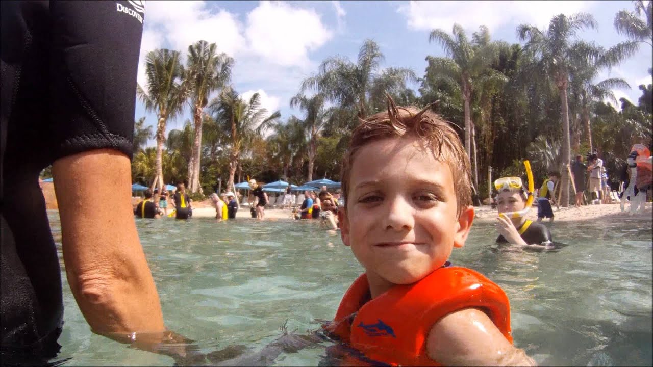 Feeding Rays at Discovery Cove's The Grand Reef