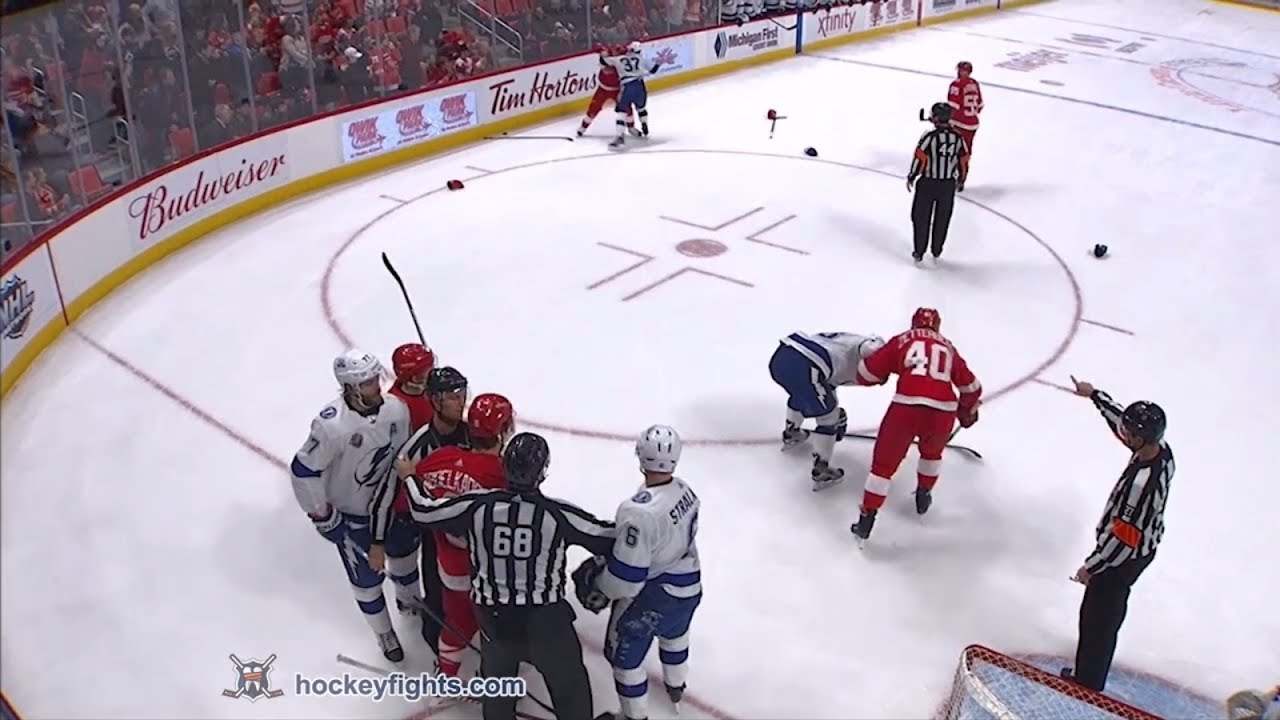 Yanni Gourde vs Tomas Tatar Jan 7, 2018