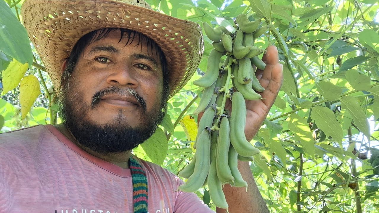 Elimina esta planta de tu huerto o te arrepentirás😓