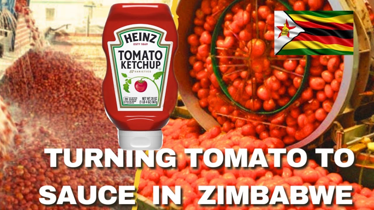 How Chinese In Zimbabwe Are Making Money Turning Tomatoes Into Tomato Sauce