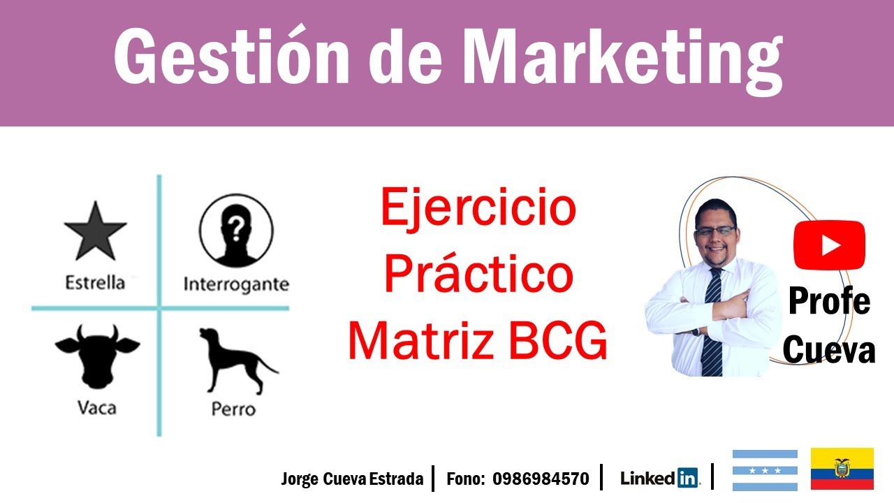 Ejercicio Práctico Matriz BCG Profe Cueva