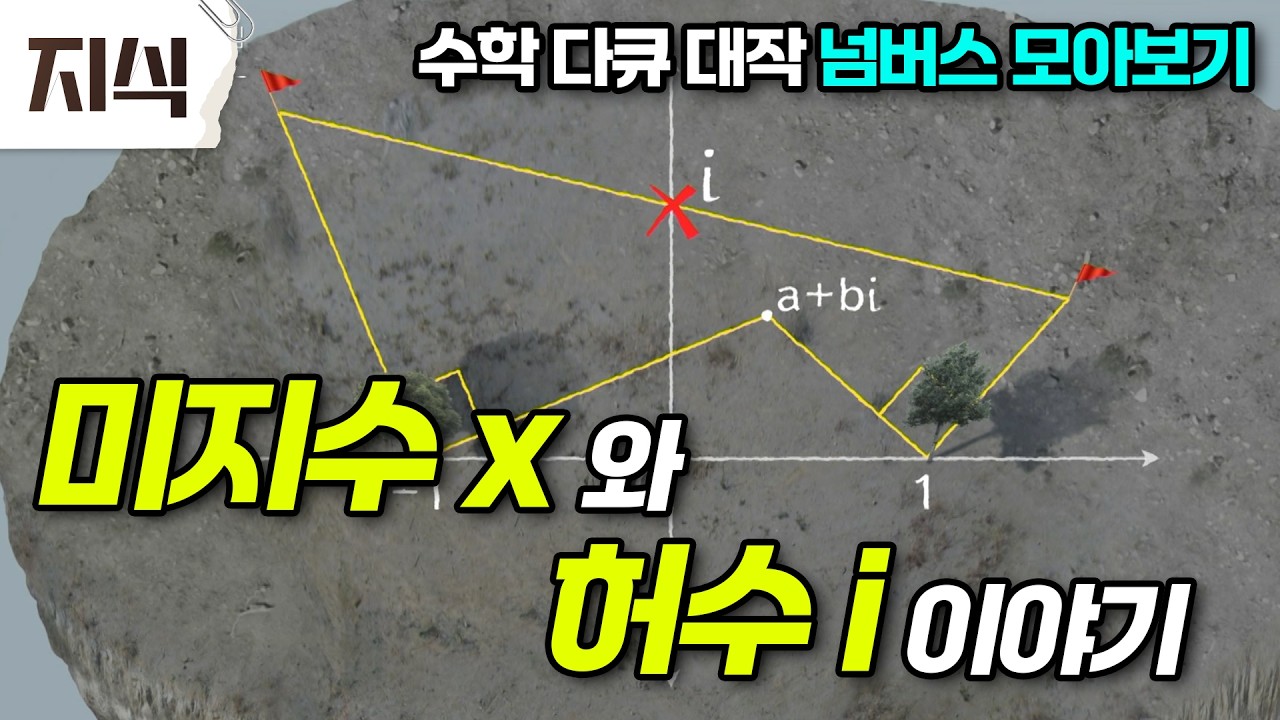 세상을 바꾼 다섯 개의 수! 그중 미지수 x와 허수 i 이야기｜넘버스 모아보기 #역사 #EBS지식