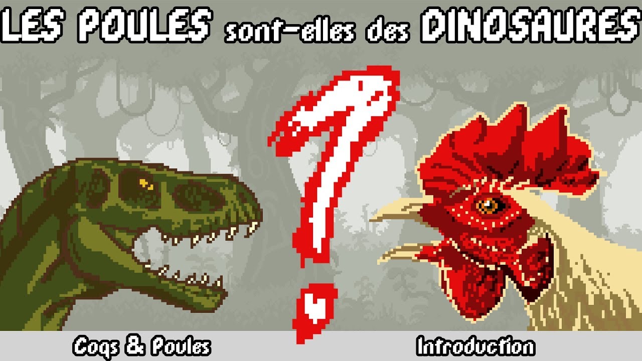 LES POULES SONT-ELLES DES DINOSAURES? Et autres fun facts sur nos amis gallinacés.