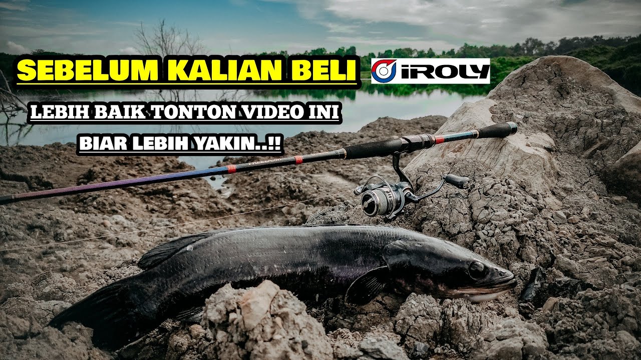 TIGA HARI BERSAMA IROLY FREEDOM, BETOT TOMAN TANPA AMPUN DI SPOT PENUH GANGGANG