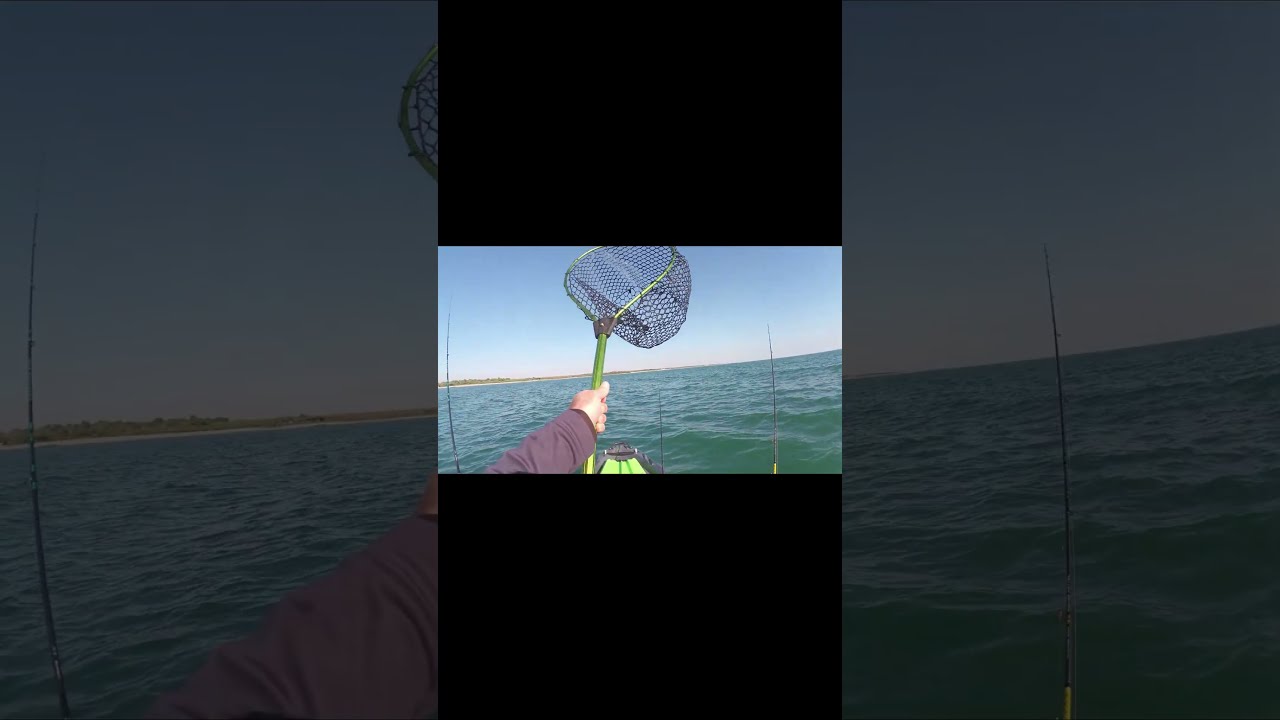 Pesca alle Sappie dal Kayak: La Tecnica che Funziona