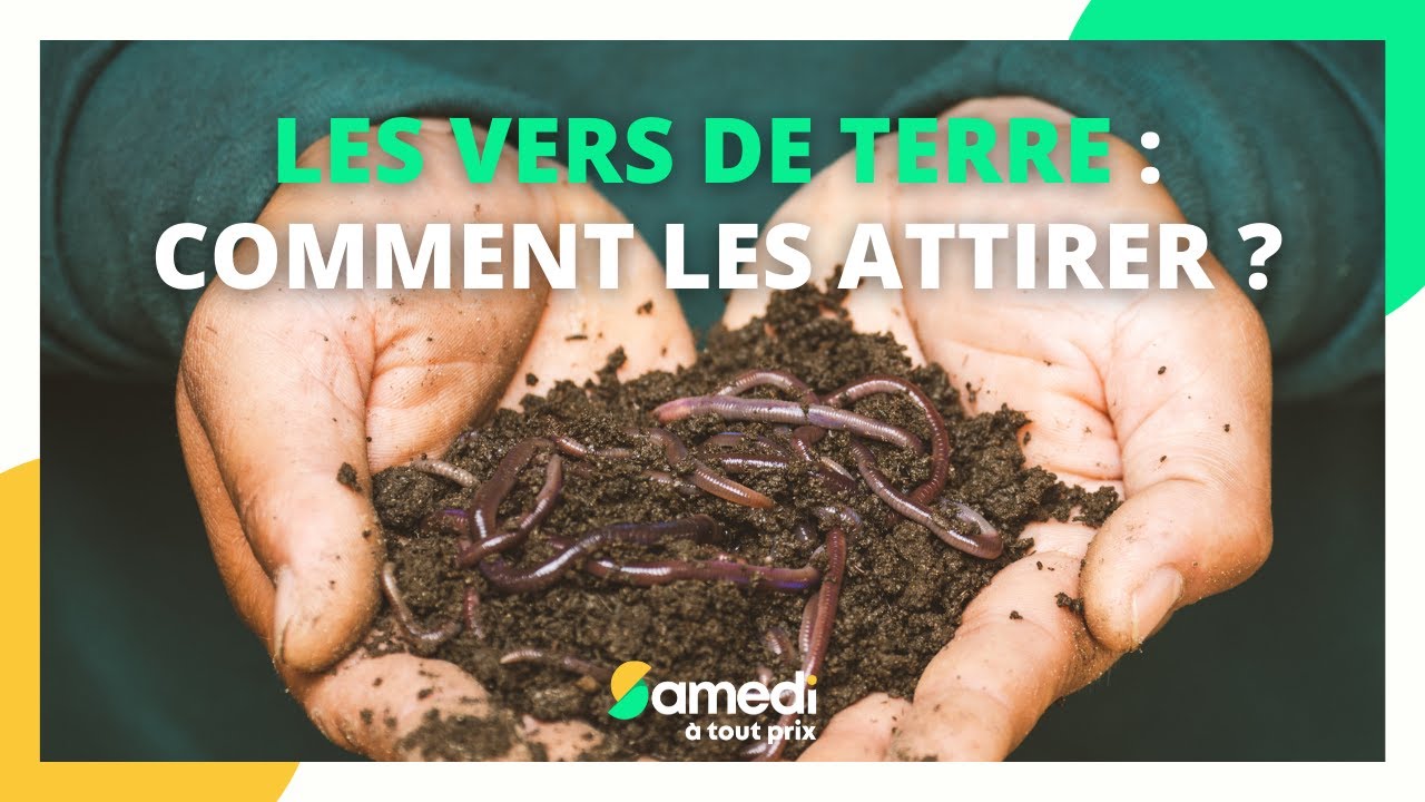 Comment attirer les vers de terre dans son jardin ? - Samedi à tout prix