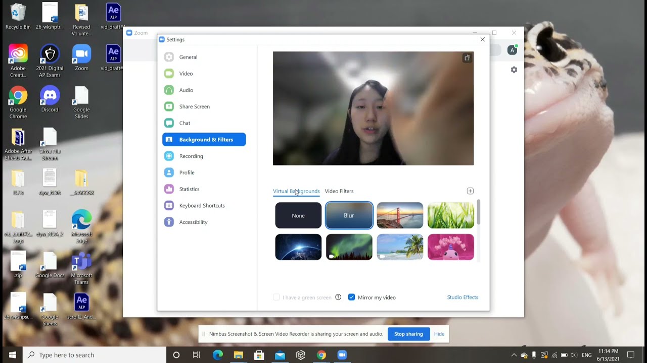 How to get the Blur Virtual Background on Zoom