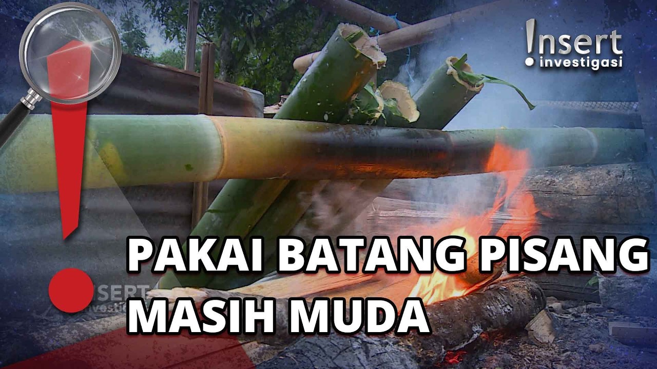 Gurihnya Cita Rasa Manuk Piyong Burak Kuliner Tradisional Toraja