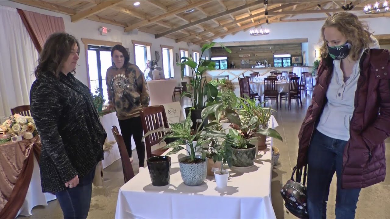 Plant swap meet