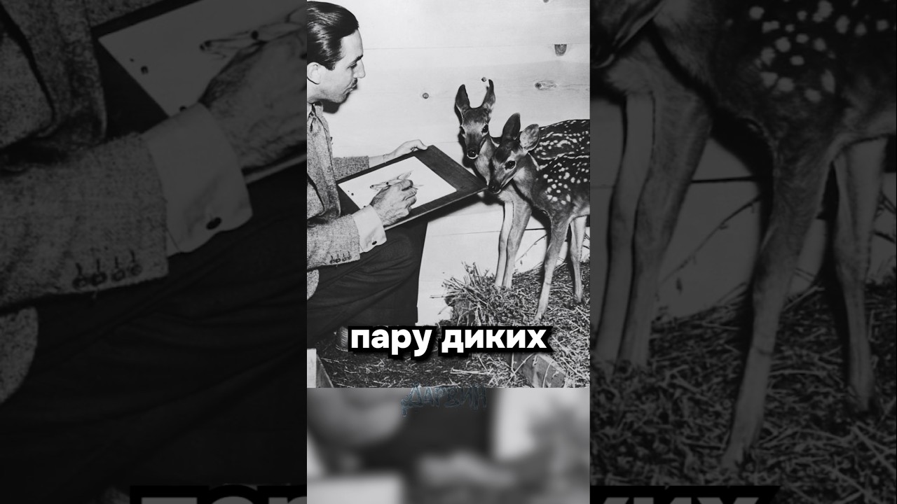Не самая приятная история создания Бемби
