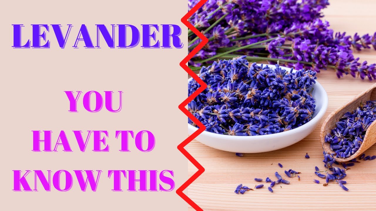 The Secret Magic, Benefits Of Levander, From Nature To Heart, Did You Know It ?