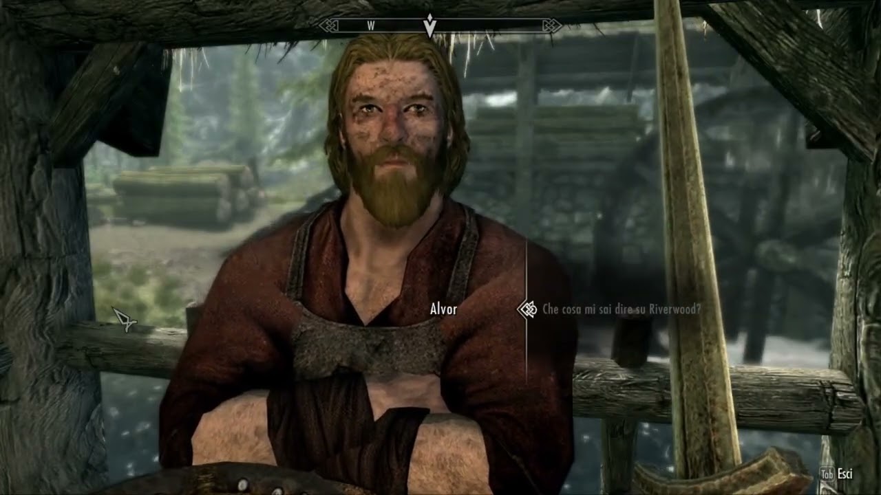 The Elder Scroll 5 Skyrim parte 1