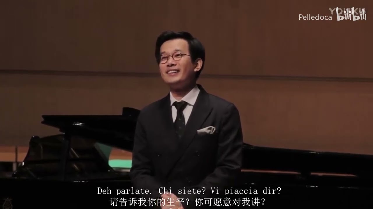 【石倚洁】《冰凉的小手》Che gelida manina（中意字幕）武汉琴台音乐厅