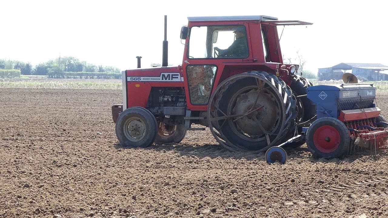 MASSEY FERGUSON 565 .