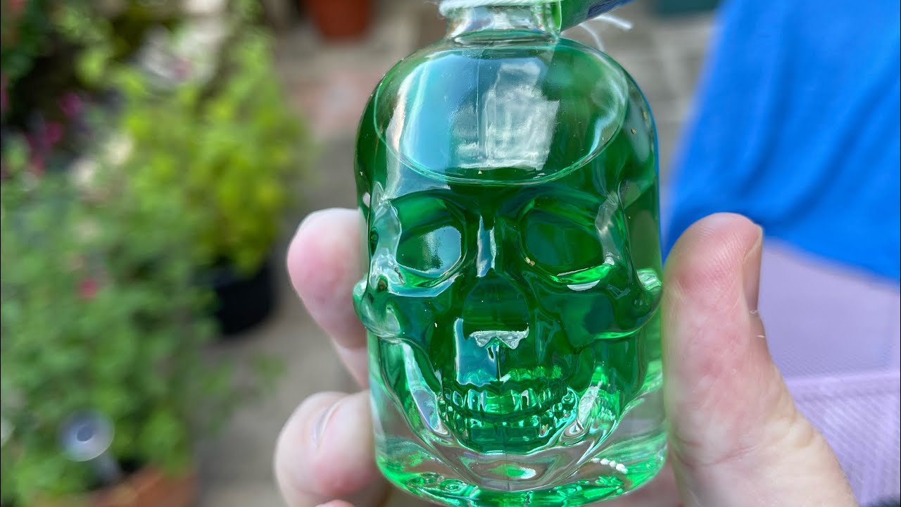 Staroplzenecky Absinth Skull
