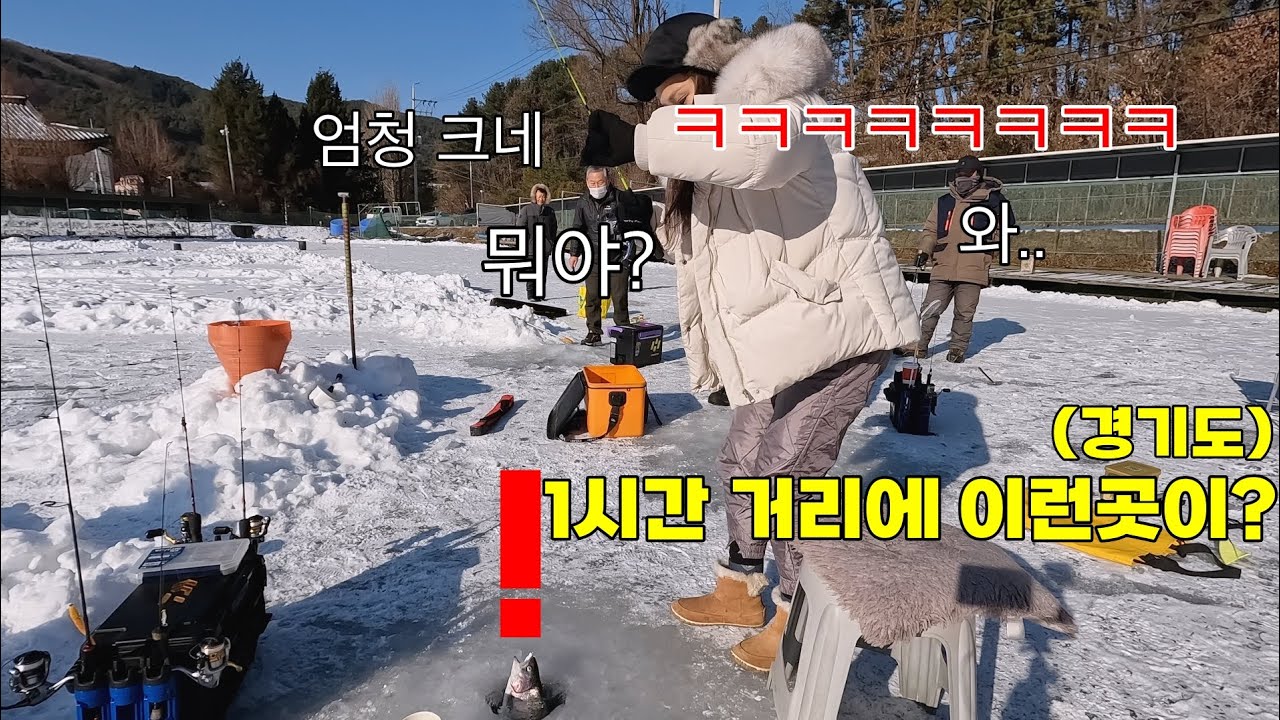 이거 한 마리면 온 가족이 배 터지게 먹는데. 잡은 건 다 가져가도 된다네요ㅋㅋ
