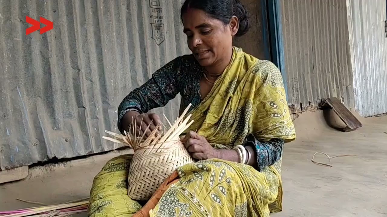 দাম বাড়ছে বাঁশের, কমছে শিল্পীদের জীবিকা | Rising costs push Bengal’s bamboo artisans to quit