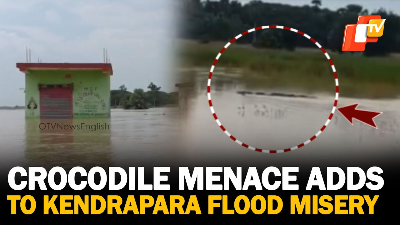 Stranded Kendrapara Villagers Battle Floods And Crocodile Threat | OTV News English | OTV