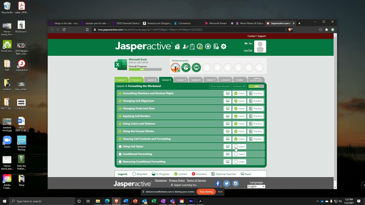 JA Excel 4 8  Using Cell Styles
