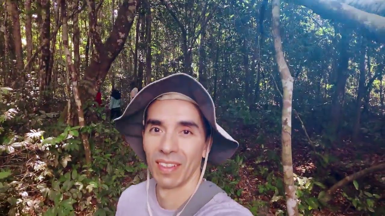 Ebogo
