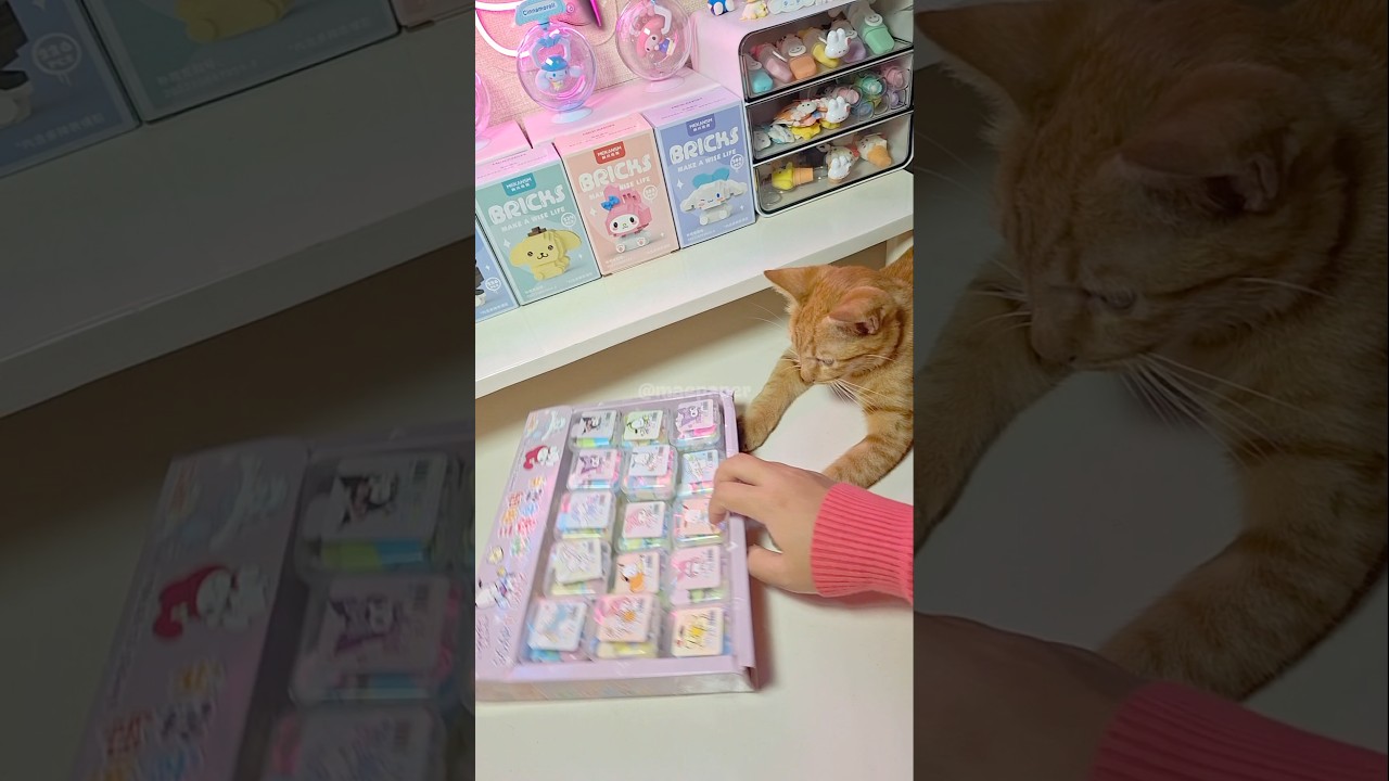 Покупки Куроми🛍 #sanrio #kuromi #mymelody #hellokitty #cinnamoroll #cute #japan #shorts #asmr #fyp