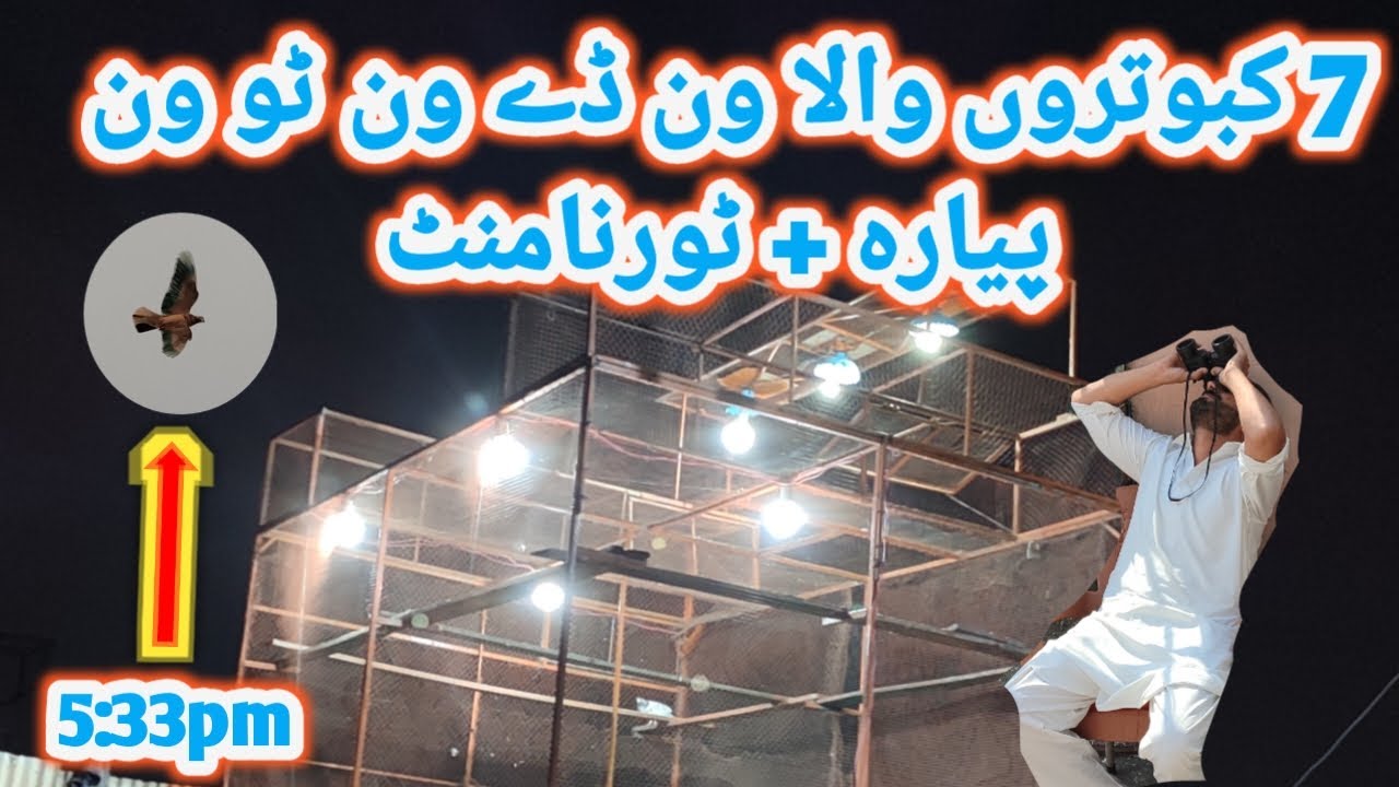 || سات کبوتروں والا ون ٹو ون مقابلہ اور ٹورنامنٹ ||  @Moon_Pigeon_Club @Ibrardar95