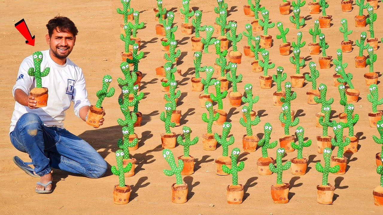 Talking With 100 Talking Cactus - Worth ₹50000/-