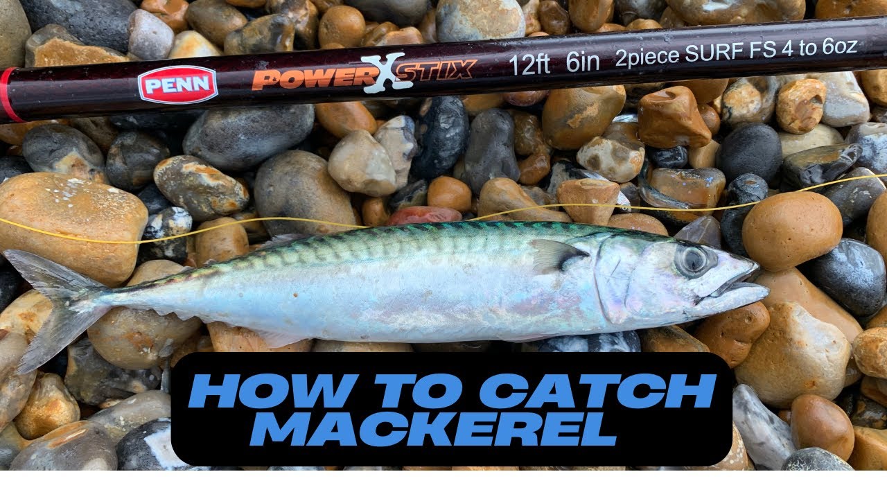How To Catch Mackerel This Summer - EASY