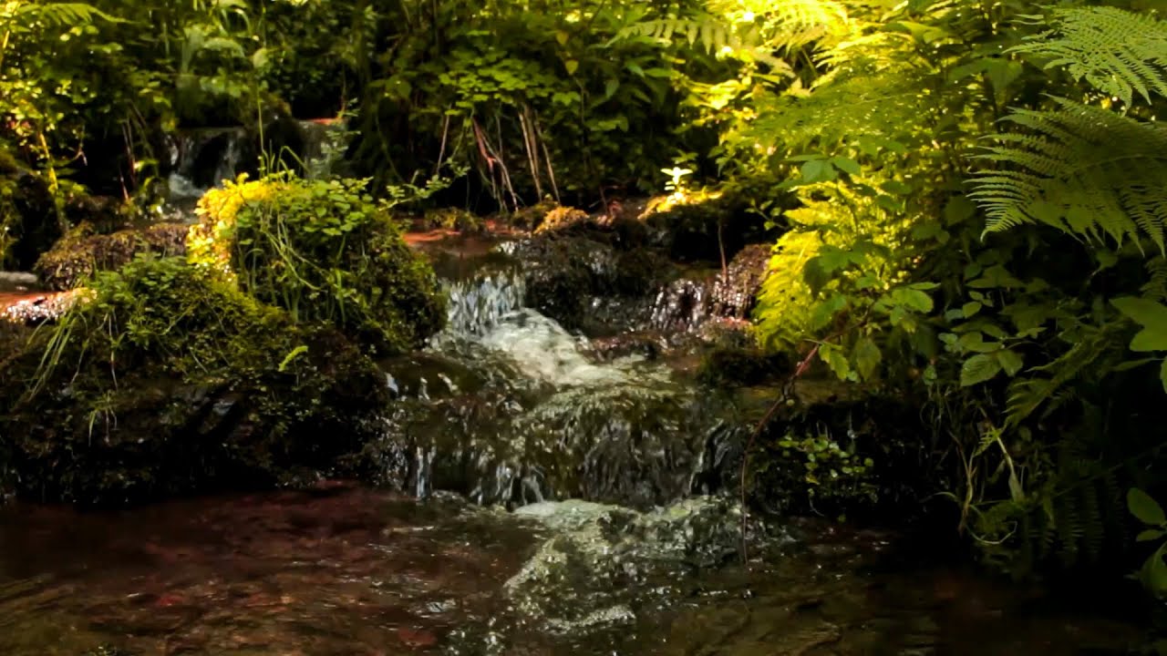 Красивый горный ручей в лесном | Найдите | для отдыха Нежный шум воды - 1 час звуков природы