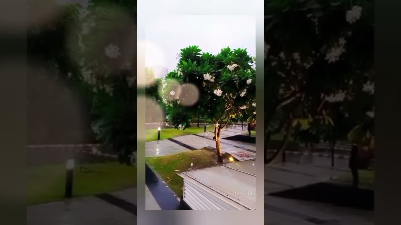 Greater Noida Rain Evening | Beautiful Rain evening Greater Noida