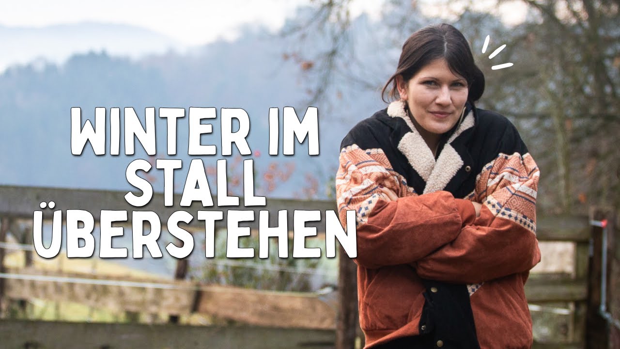 Pferdehaltung im Winter - das solltest du unbedingt beachten 🐴❄️