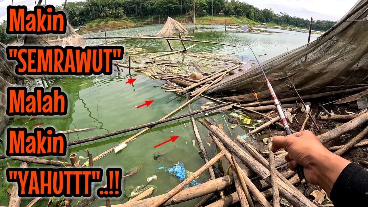 MAKIN BERANTAKAN SPOTNYA MAKIN BANYAK IKANNYA ‼️ Mancing ikan red devil NAHOL MANIA