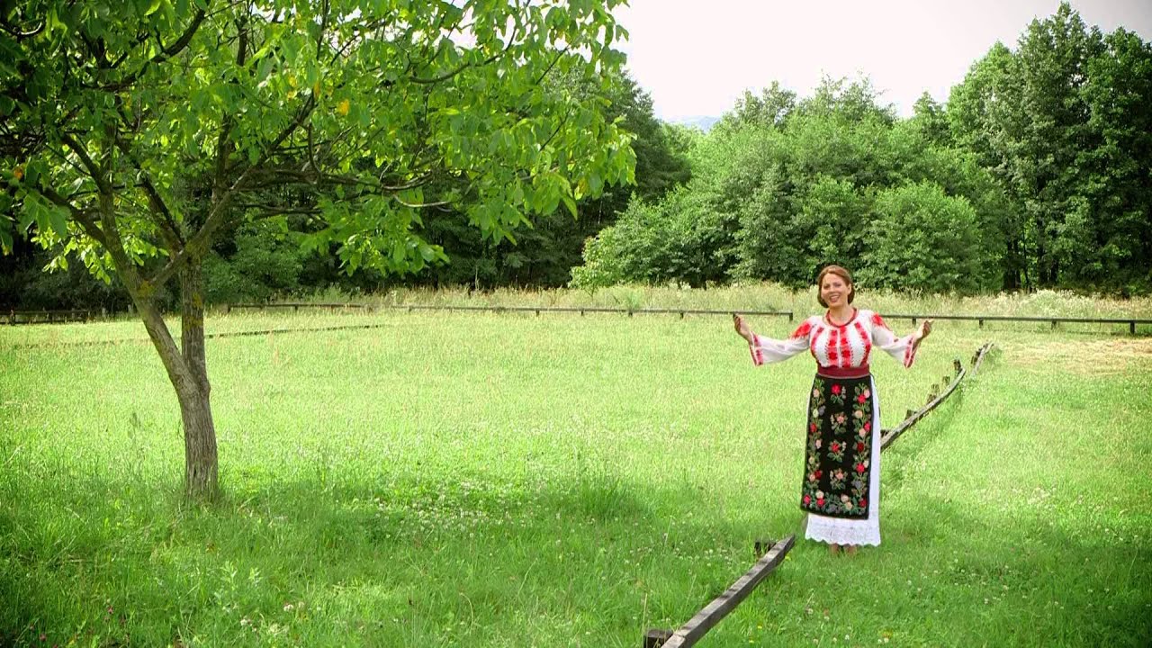 NOU! Reli Sanda - Anii tineretii (Official Video2015) ⓒ100%✔️ 𝐕𝐄𝐙𝐈 𝐓𝐎𝐓❣️