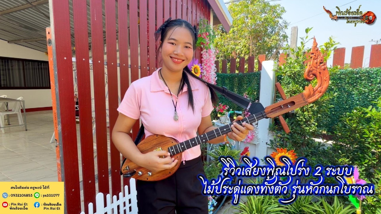 EP.13/69 พิณโปร่ง 2 ระบบไม้ประดู่แดงทั้งตัว รุ่นหัวกนกโบราณ❤️2 สาย 15 เฟรต 1 PU สแตนเลสสีทอง 5,490฿