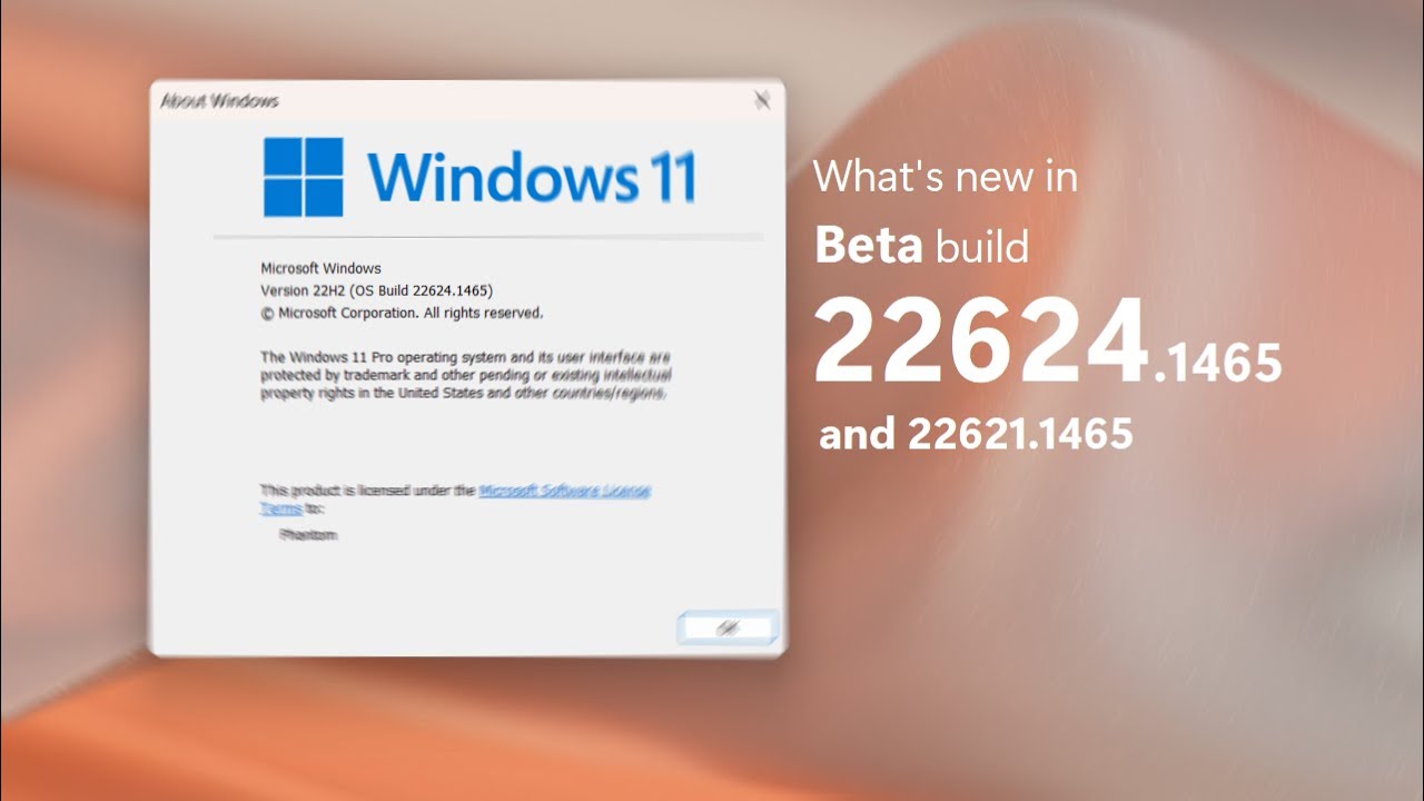 Windows 11 Beta builds 22624.1465 + 22621.1465 and what's new - A Momentous flight