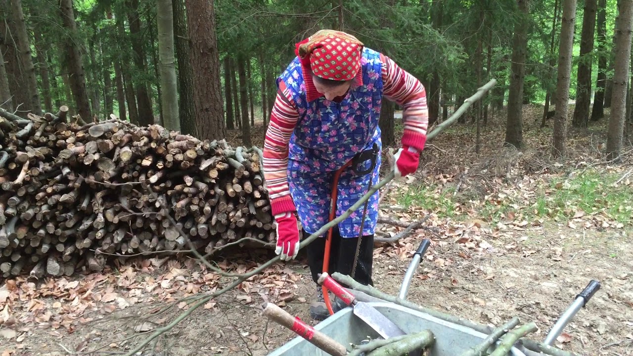 Retter Bio-Natur-Resort Walds&auml;uberung mit Frau Schirnhofer