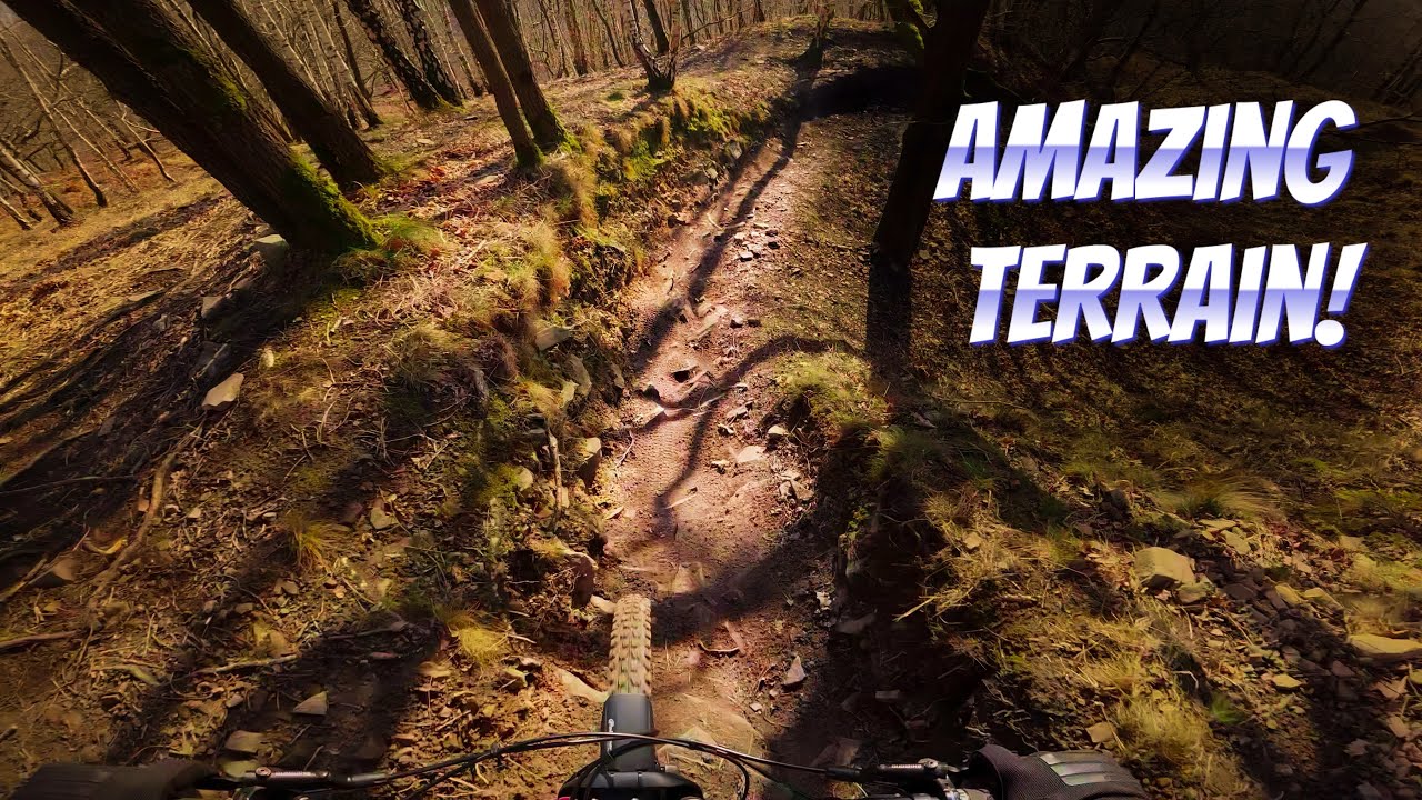 Amazing Conditions! | Chaudfontaine MTB Trail Center 🌲| Raw POV    #mtb #downhill #vtt #crash 