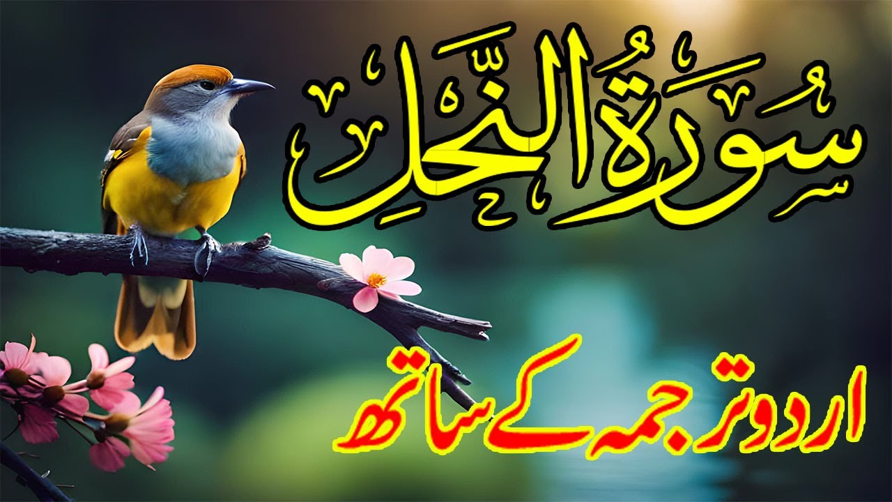 Surah Nahl Urdu Tarjuma K Sath | Surah Nahl With Urdu Translation | Quran Recitation