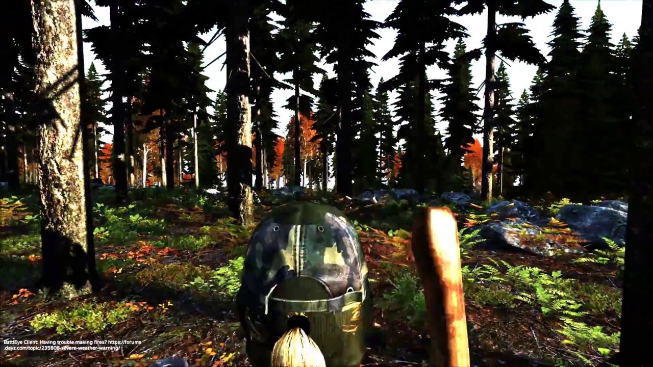 DayZ - Can a tent stop a wolf?
