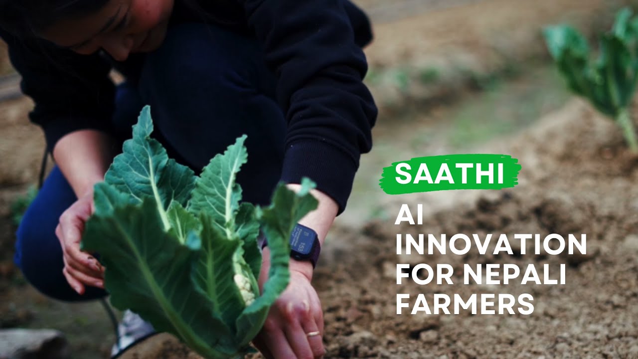 Saathi - An AI innovation for Nepali farmers