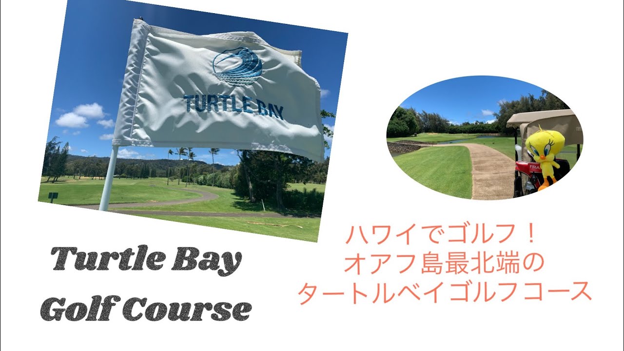 ハワイでゴルフ！オアフ島最北端のタートルベイゴルフコース　Turtle Bay Golf Course #northshore #turtlebay #hawaiigolf